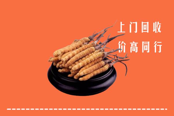 重庆荣昌区回收散虫草