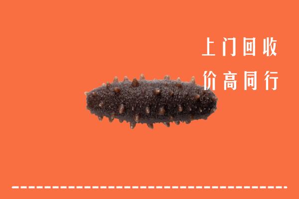 重庆荣昌区回收海参