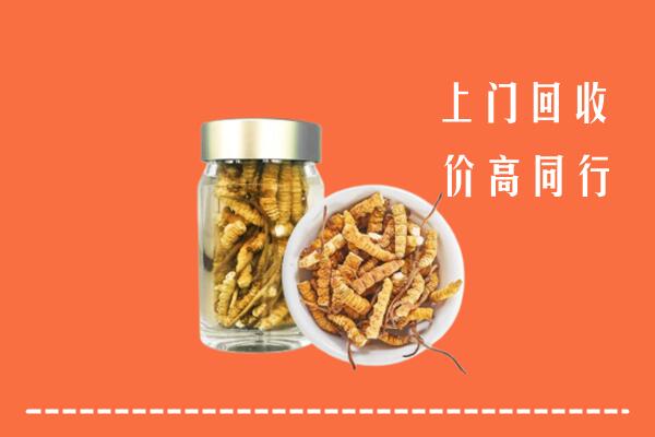 重庆荣昌区回收冬虫夏草